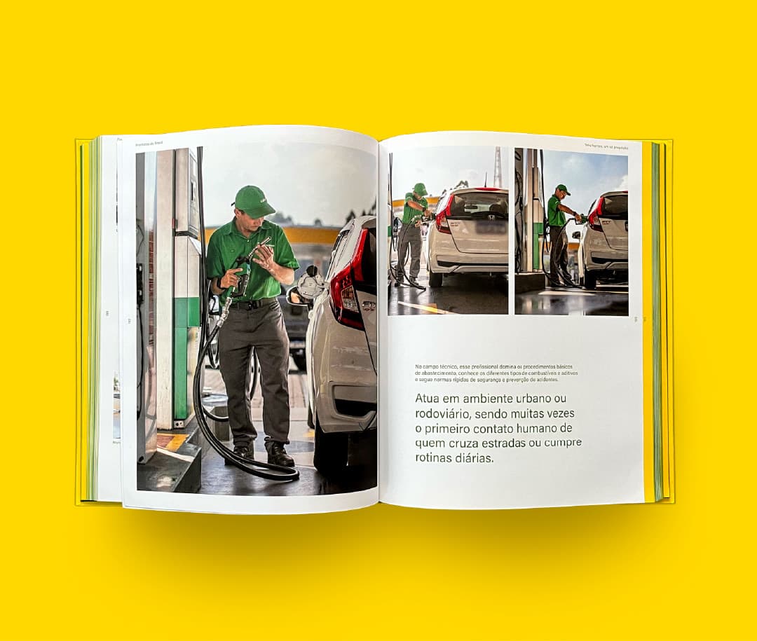 Visual identity FRENTISTAS DO BRASIL, RegularSwitch