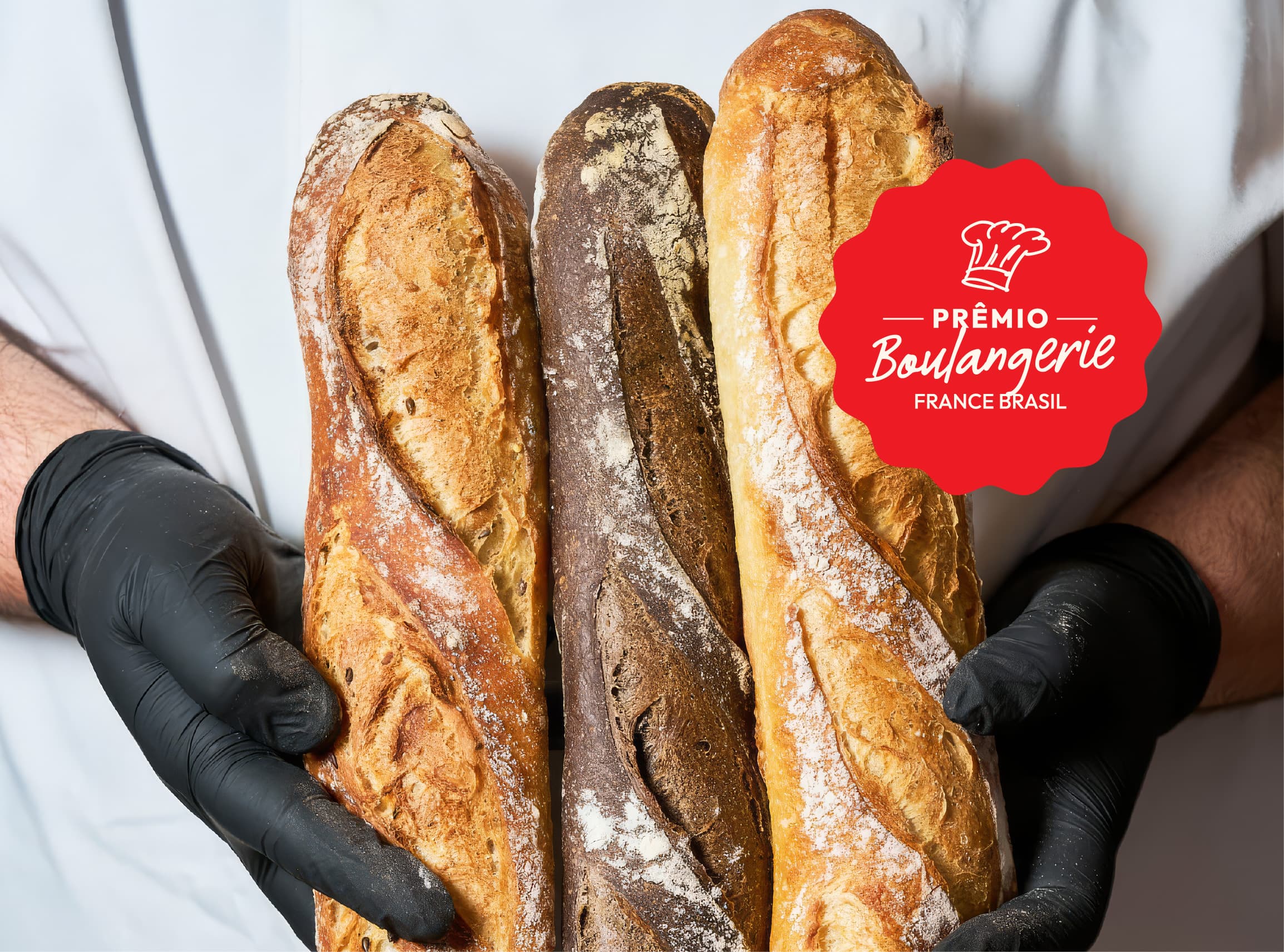Identidade visual Prêmio Taste France Brasil, sistema ilustrativo RegularSwitch