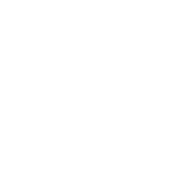 BLUM 10 anos logo
