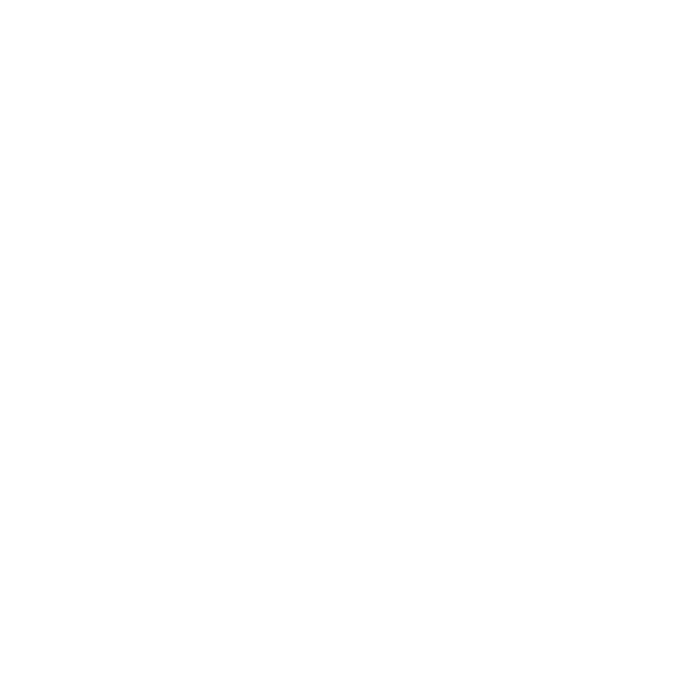 CENTRAL 1926 logo